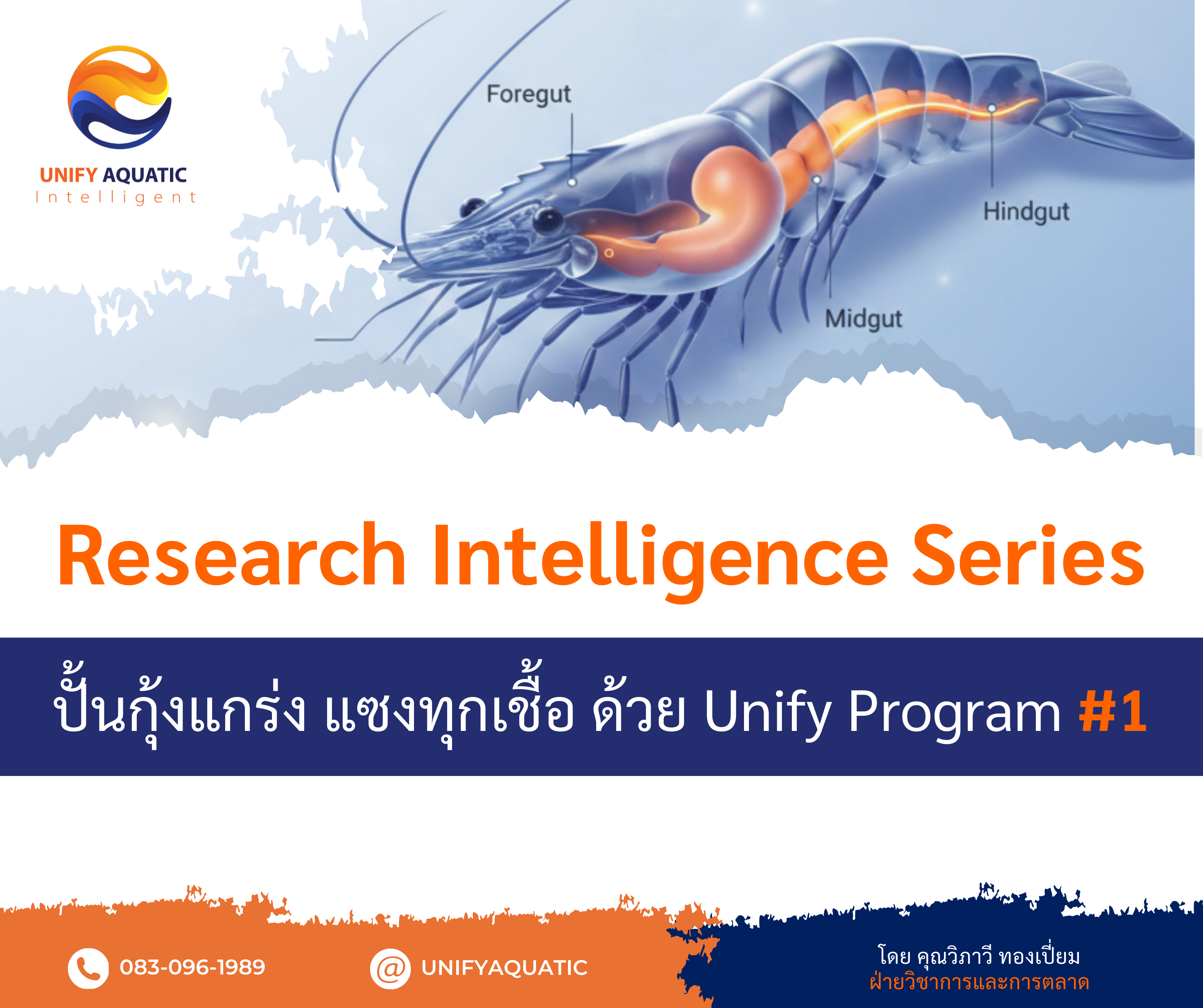 Research Intelligence Series I ปั้นกุ้งแกร่ง แซงทุกเชื้อ ด้วย Unify Program