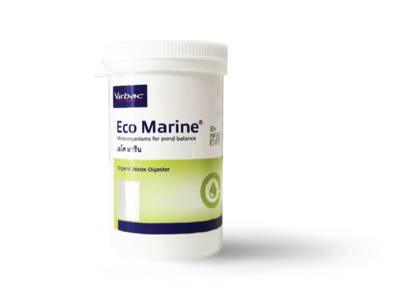 เอโค มารีน : Eco Marine